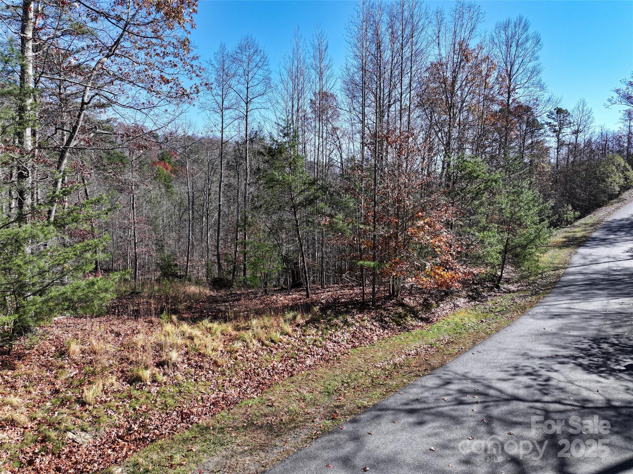 225 Red Fox Trail Marshall NC 28753
