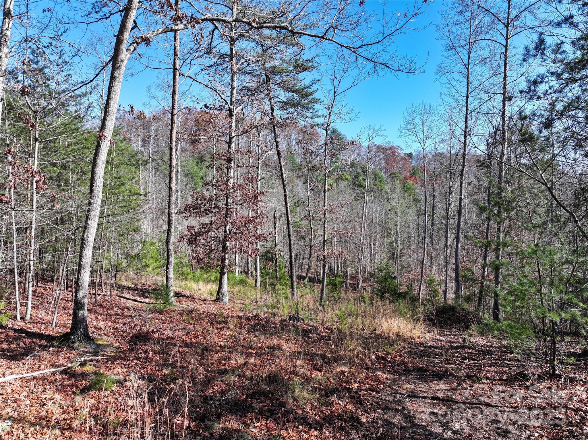 225 Red Fox Trail Marshall NC 28753