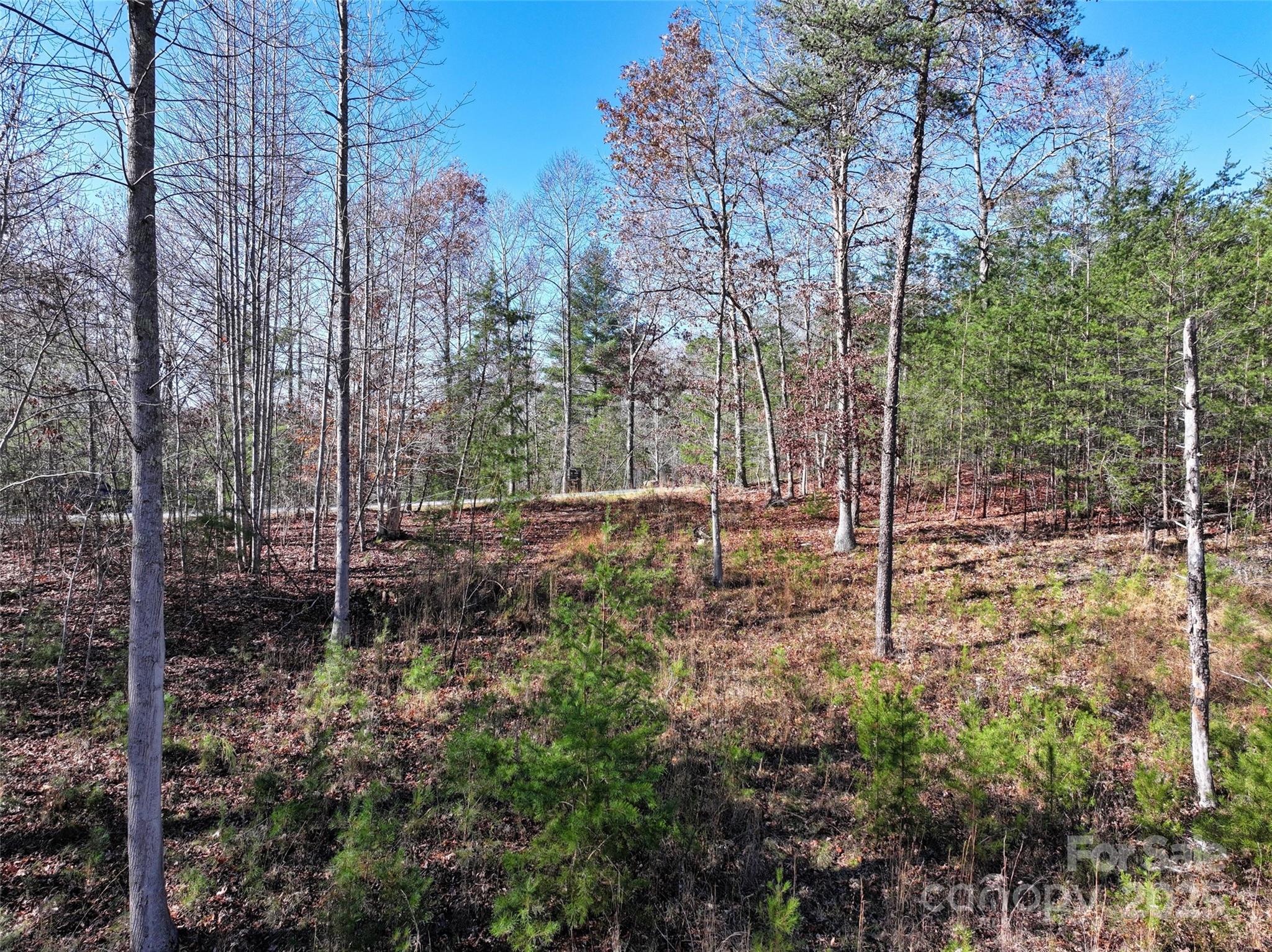 225 Red Fox Trail Marshall NC 28753