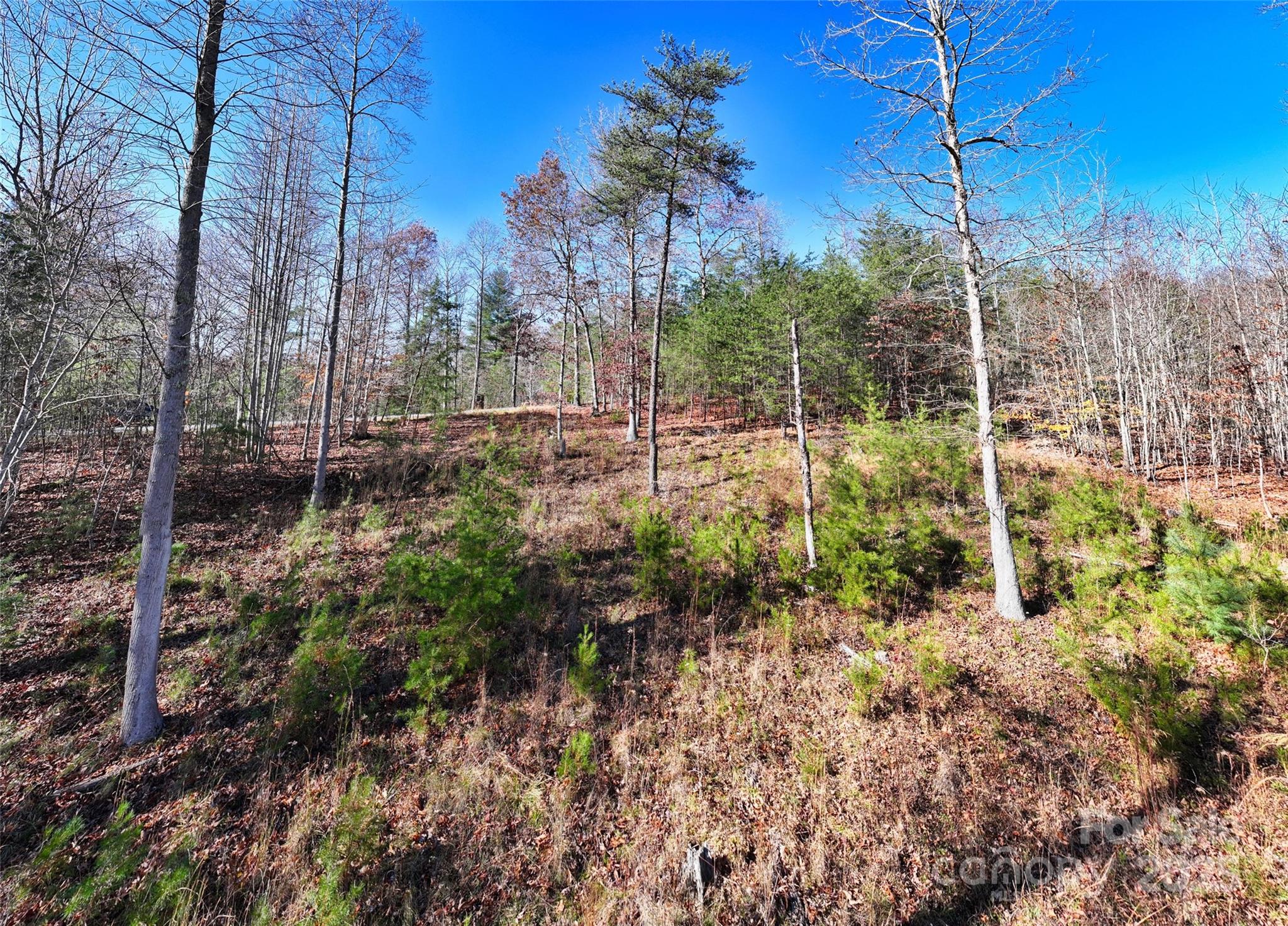 225 Red Fox Trail Marshall NC 28753