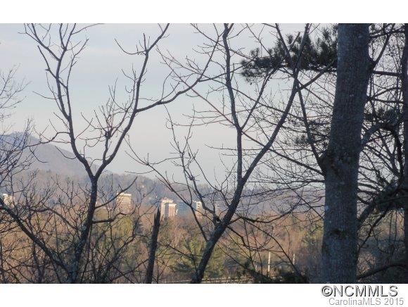 54 Timber Moss Drive Asheville NC 28804