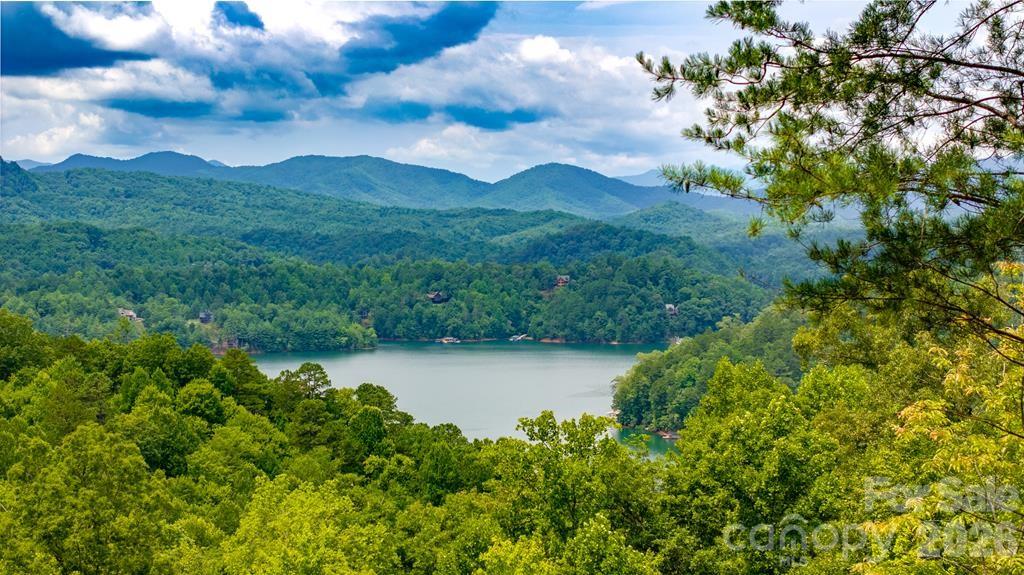 87-3 Eagles Flight Bryson City NC 28713