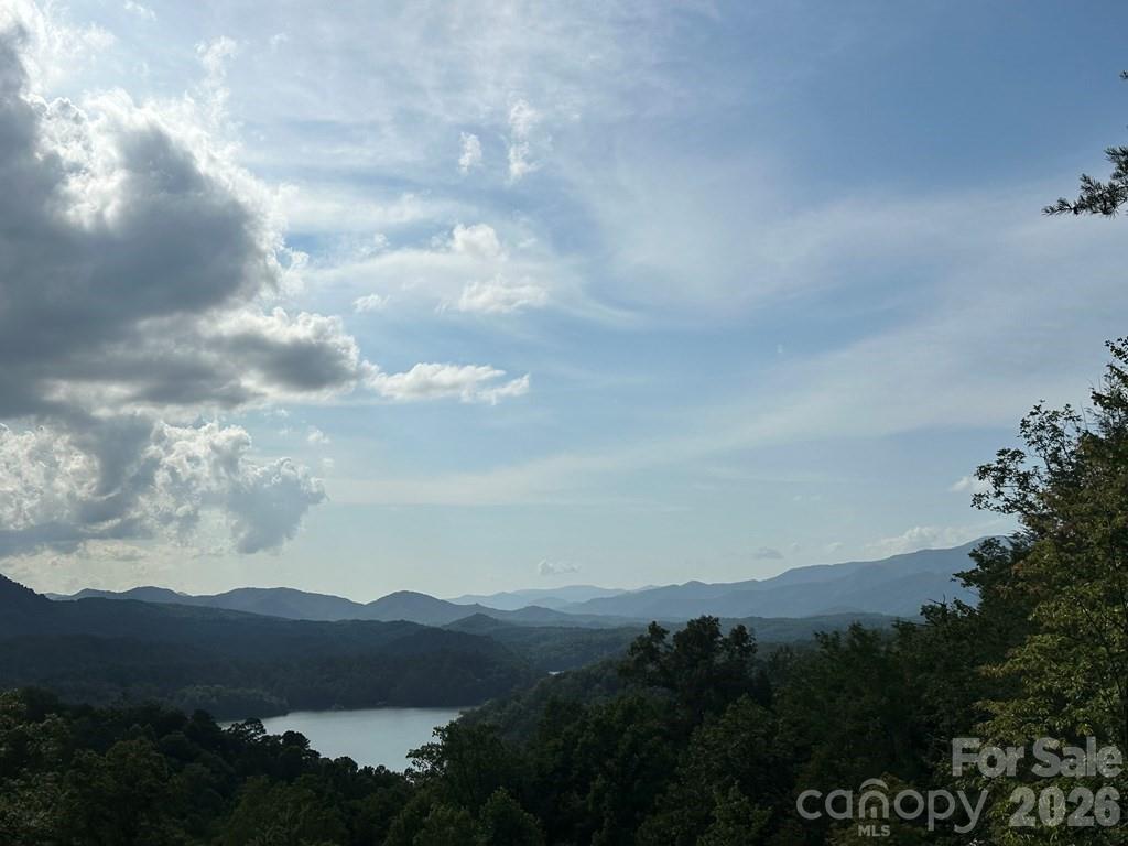 87-3 Eagles Flight Bryson City NC 28713