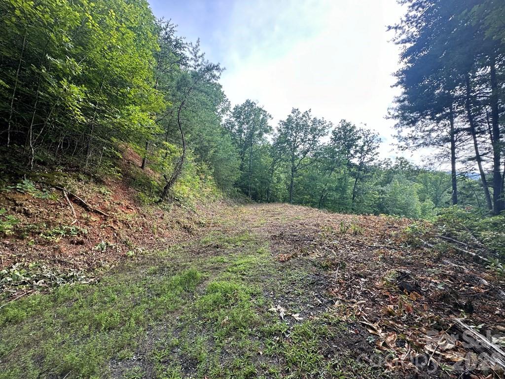 87-3 Eagles Flight Bryson City NC 28713