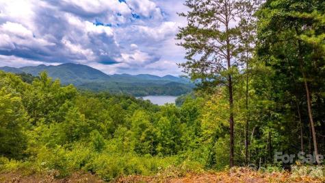87-3 Eagles Flight Bryson City NC 28713