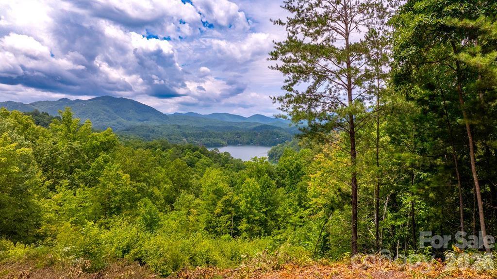 87-3 Eagles Flight Bryson City NC 28713