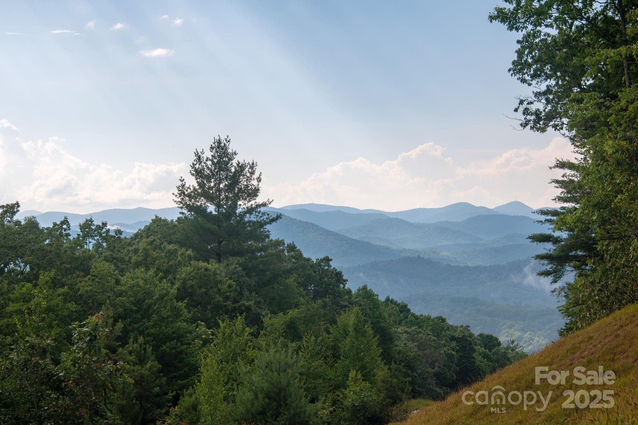 Lot # 6 Masterpiece View Drive Hendersonville NC 28739