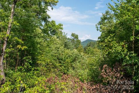 Lot # 6 Masterpiece View Drive Hendersonville NC 28739