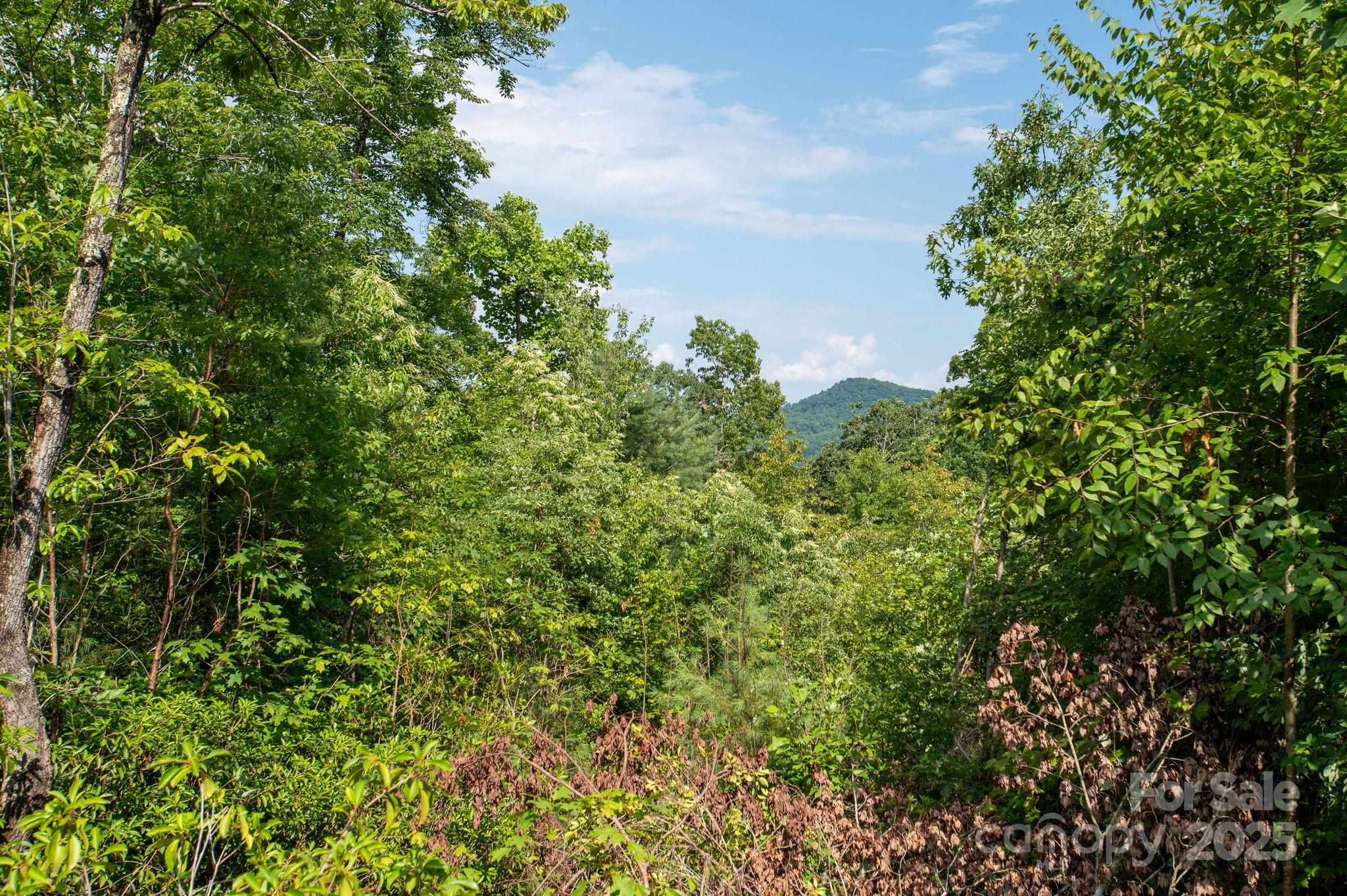 Lot # 6 Masterpiece View Drive Hendersonville NC 28739
