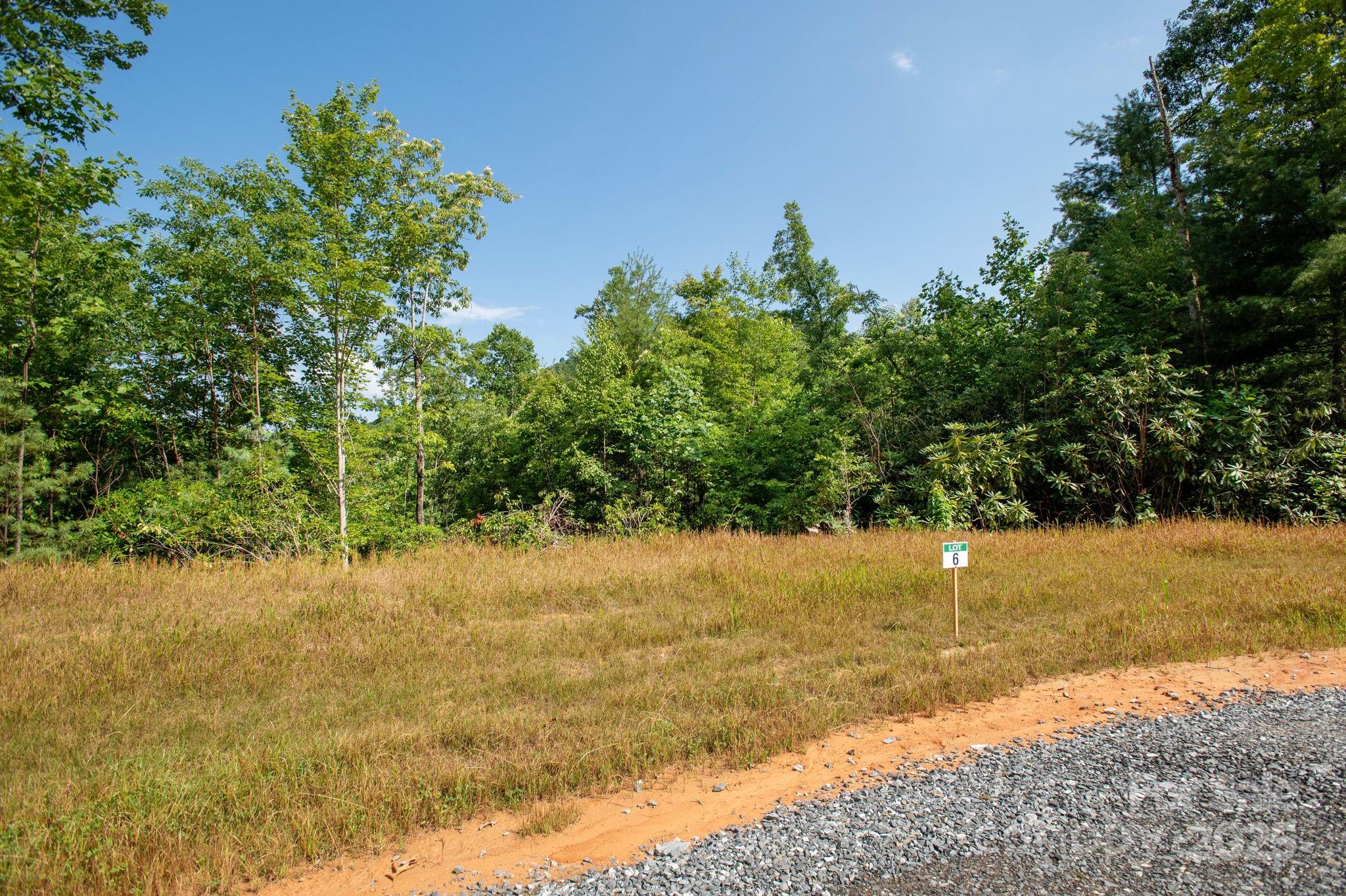 Lot # 6 Masterpiece View Drive Hendersonville NC 28739
