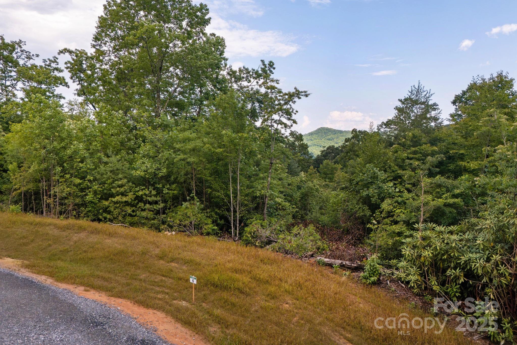 Lot # 6 Masterpiece View Drive Hendersonville NC 28739