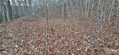 Lot 10 Seay Mountain Road Waynesville NC 28785