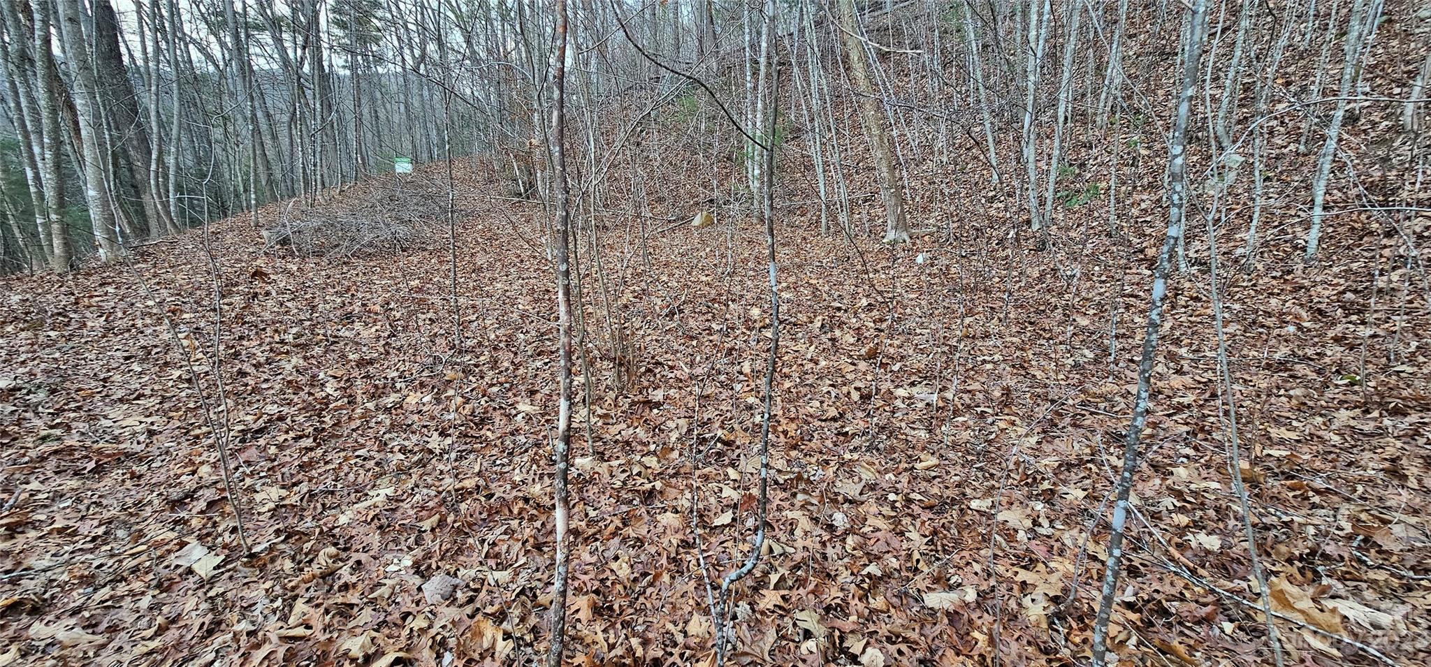 Lot 10 Seay Mountain Road Waynesville NC 28785
