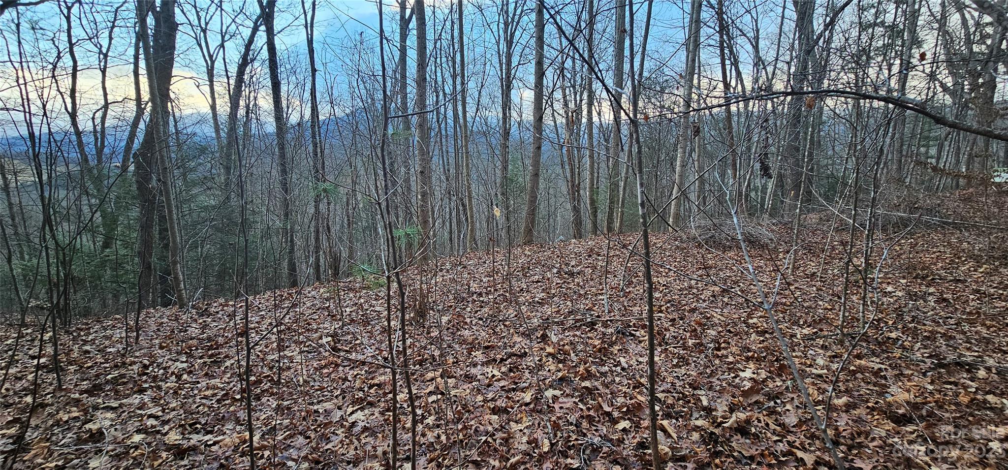 Lot 10 Seay Mountain Road Waynesville NC 28785