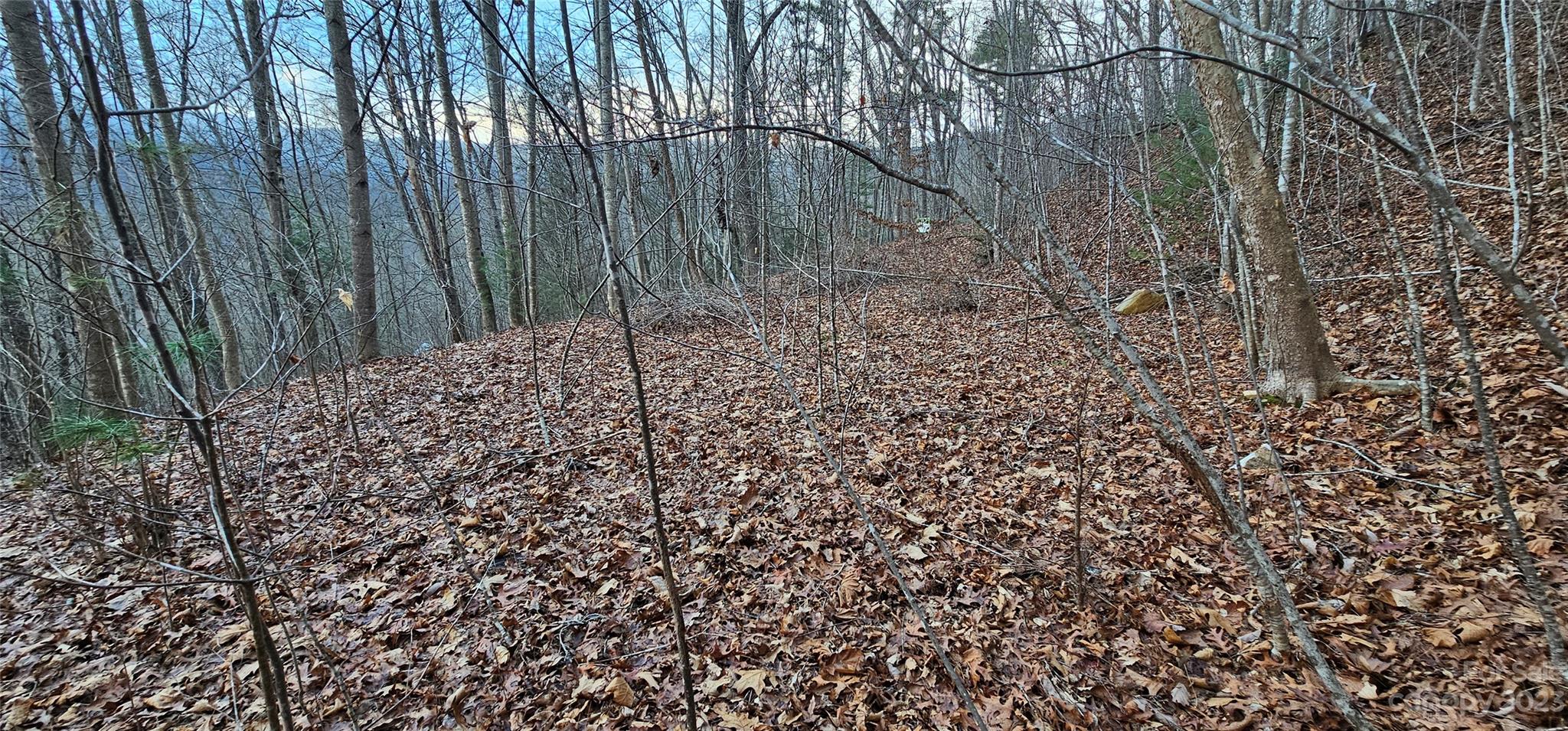 Lot 10 Seay Mountain Road Waynesville NC 28785
