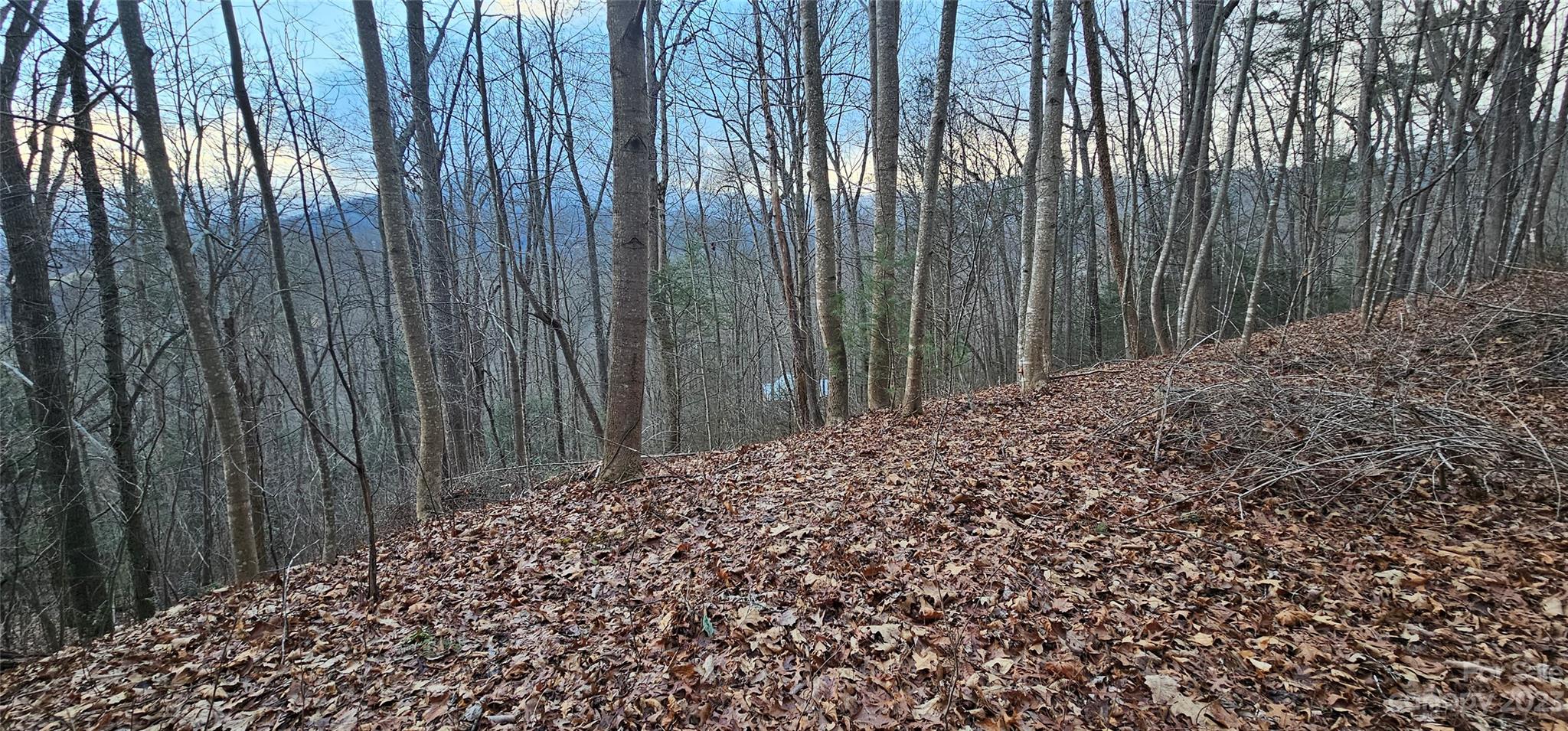 Lot 10 Seay Mountain Road Waynesville NC 28785