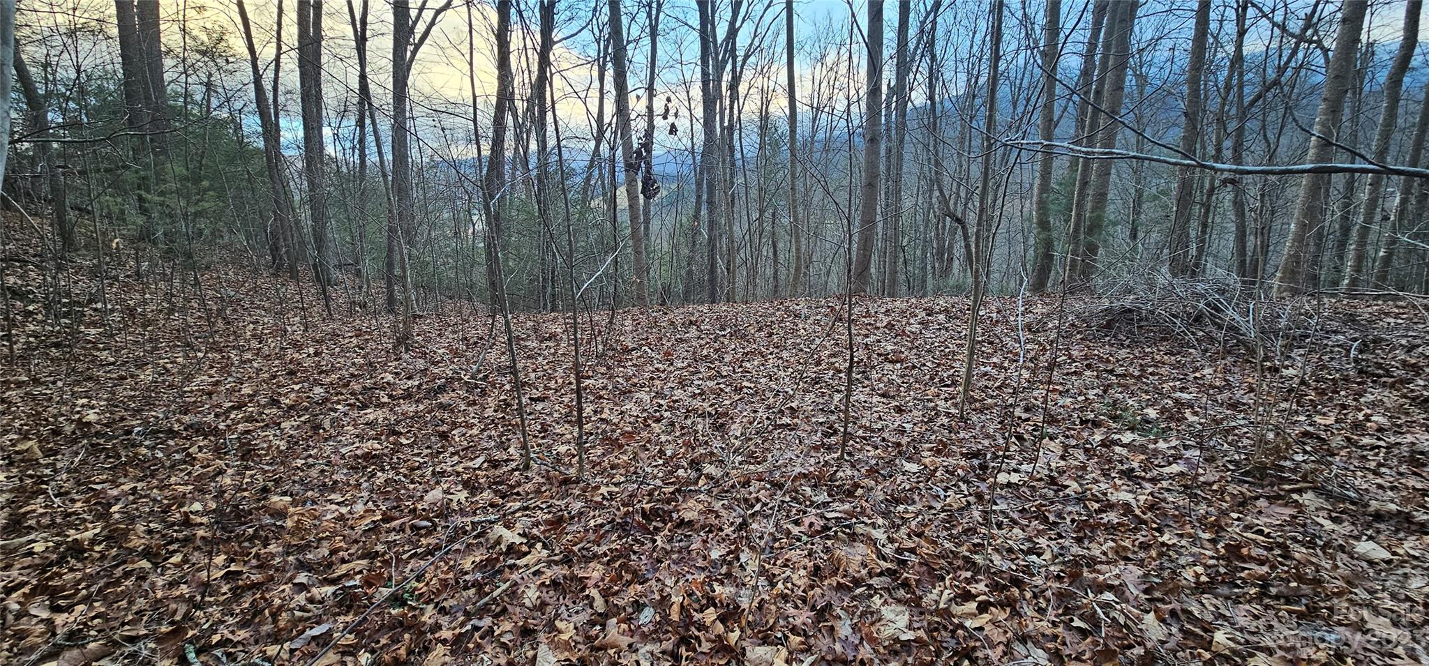Lot 10 Seay Mountain Road Waynesville NC 28785