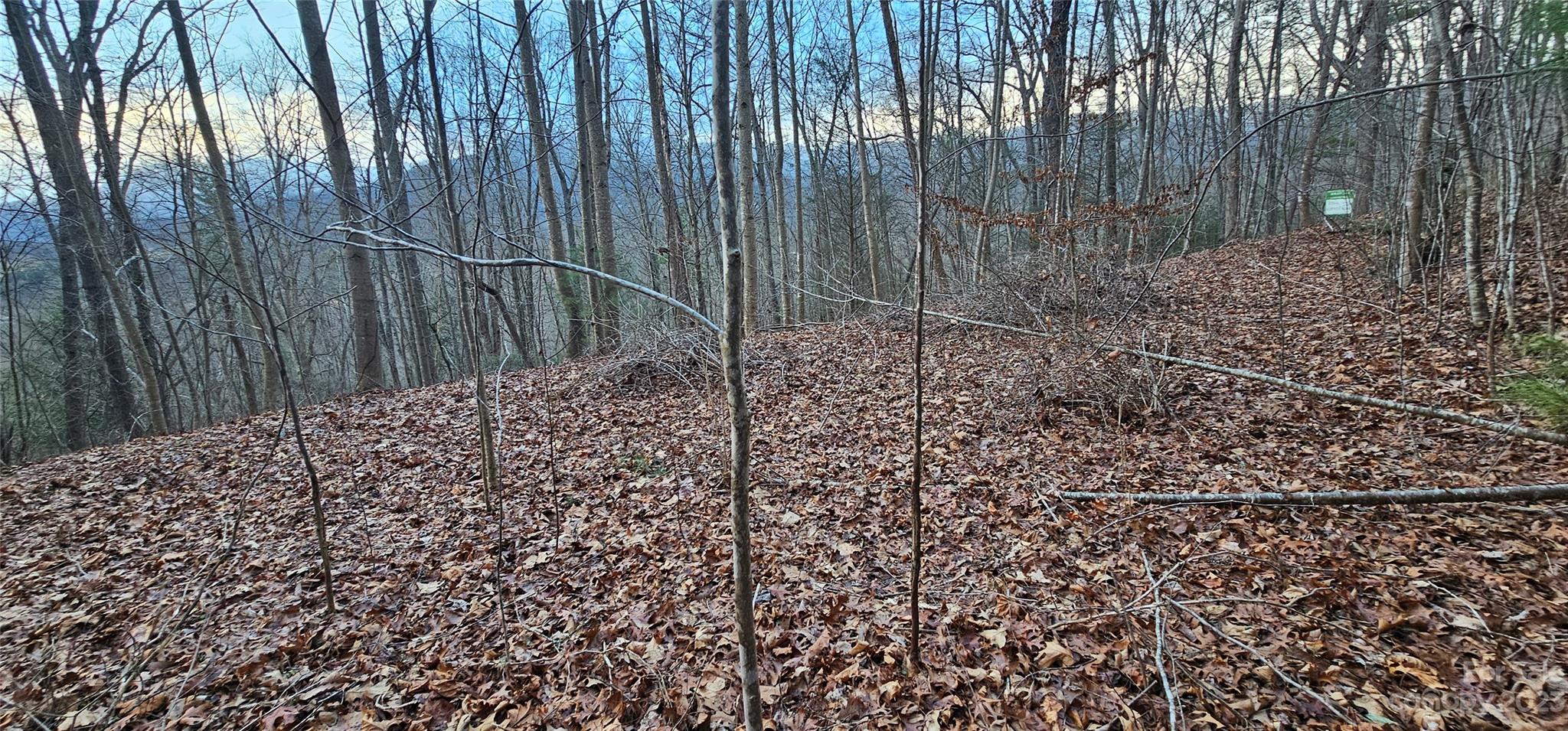 Lot 10 Seay Mountain Road Waynesville NC 28785