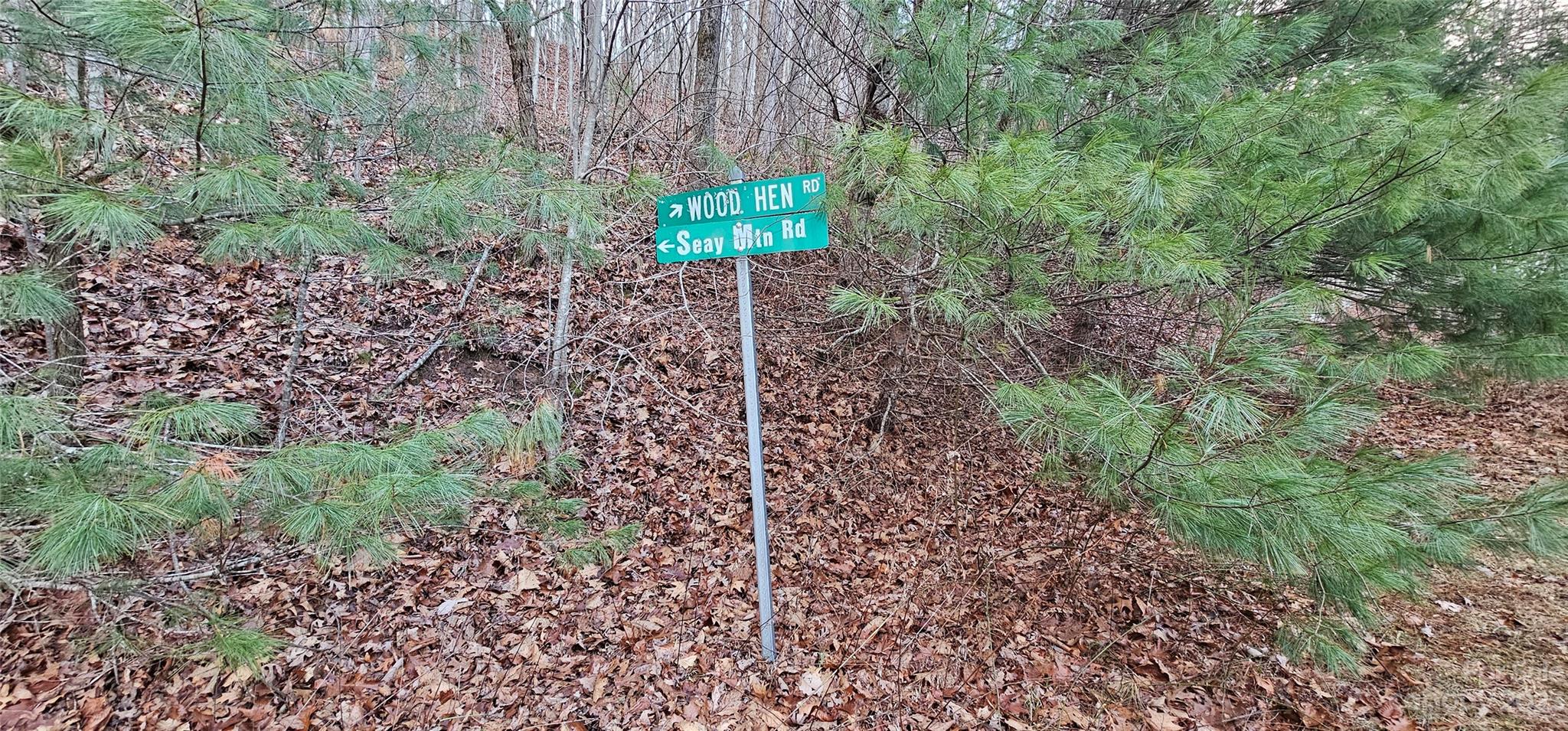 Lot 10 Seay Mountain Road Waynesville NC 28785