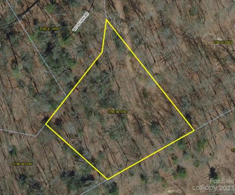 Lot 10 Seay Mountain Road Waynesville NC 28785
