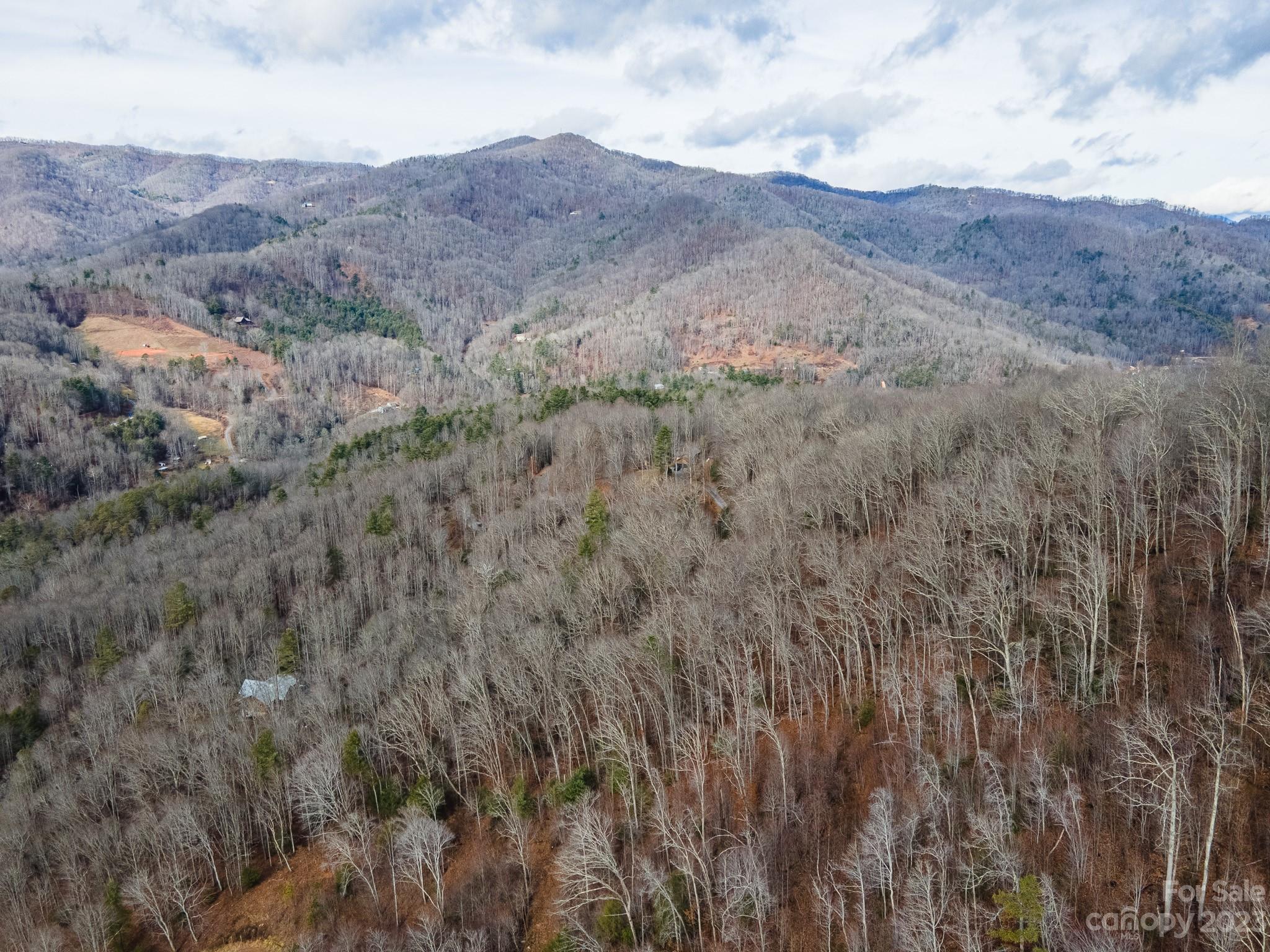 Lot 10 Seay Mountain Road Waynesville NC 28785