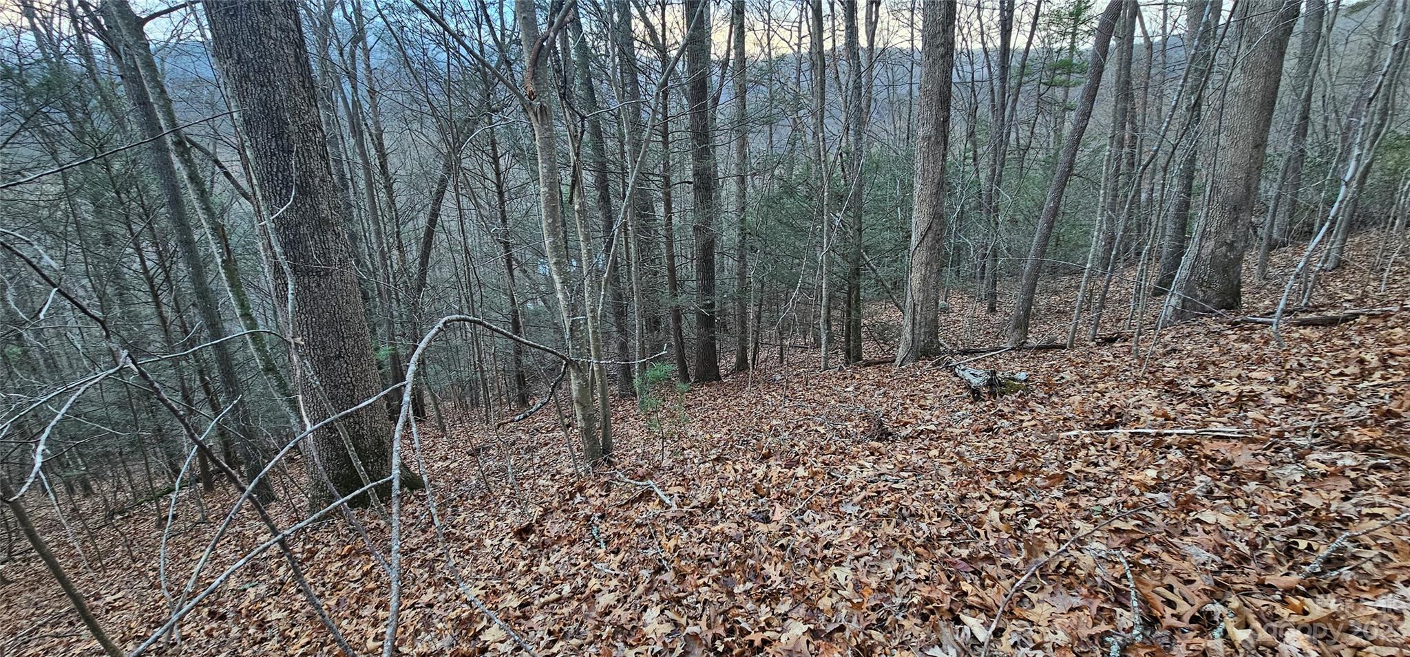 Lot 10 Seay Mountain Road Waynesville NC 28785