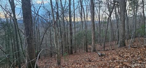 Lot 10 Seay Mountain Road Waynesville NC 28785