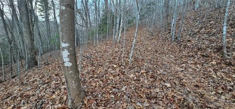 Lot 10 Seay Mountain Road Waynesville NC 28785