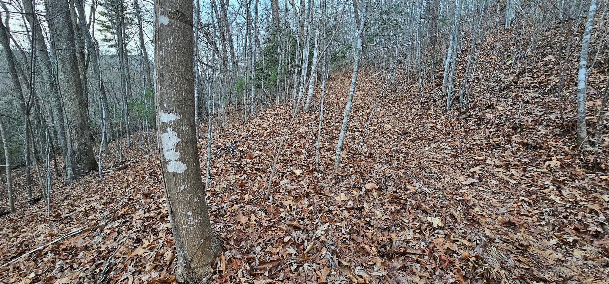 Lot 10 Seay Mountain Road Waynesville NC 28785