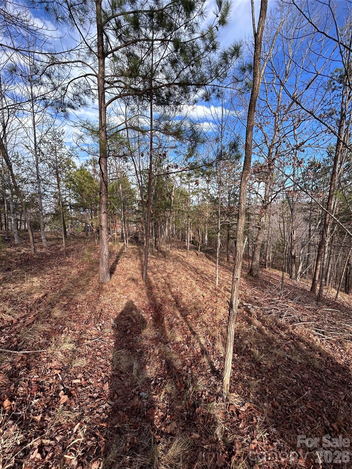 254 Stoney Creek Drive Nebo NC 28761