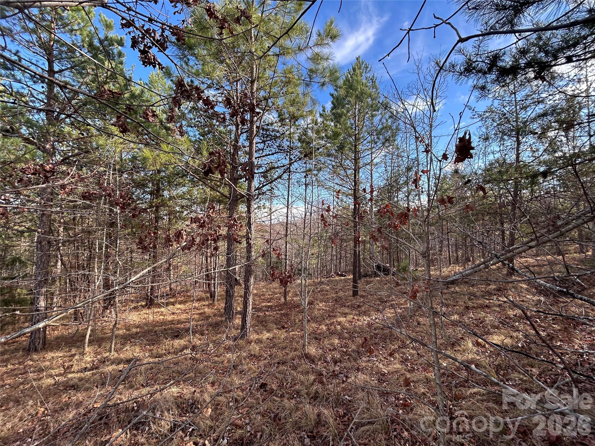254 Stoney Creek Drive Nebo NC 28761