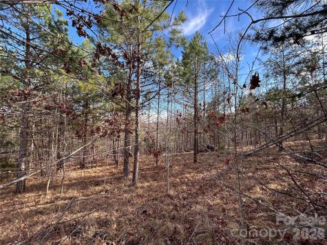 254 Stoney Creek Drive Nebo NC 28761