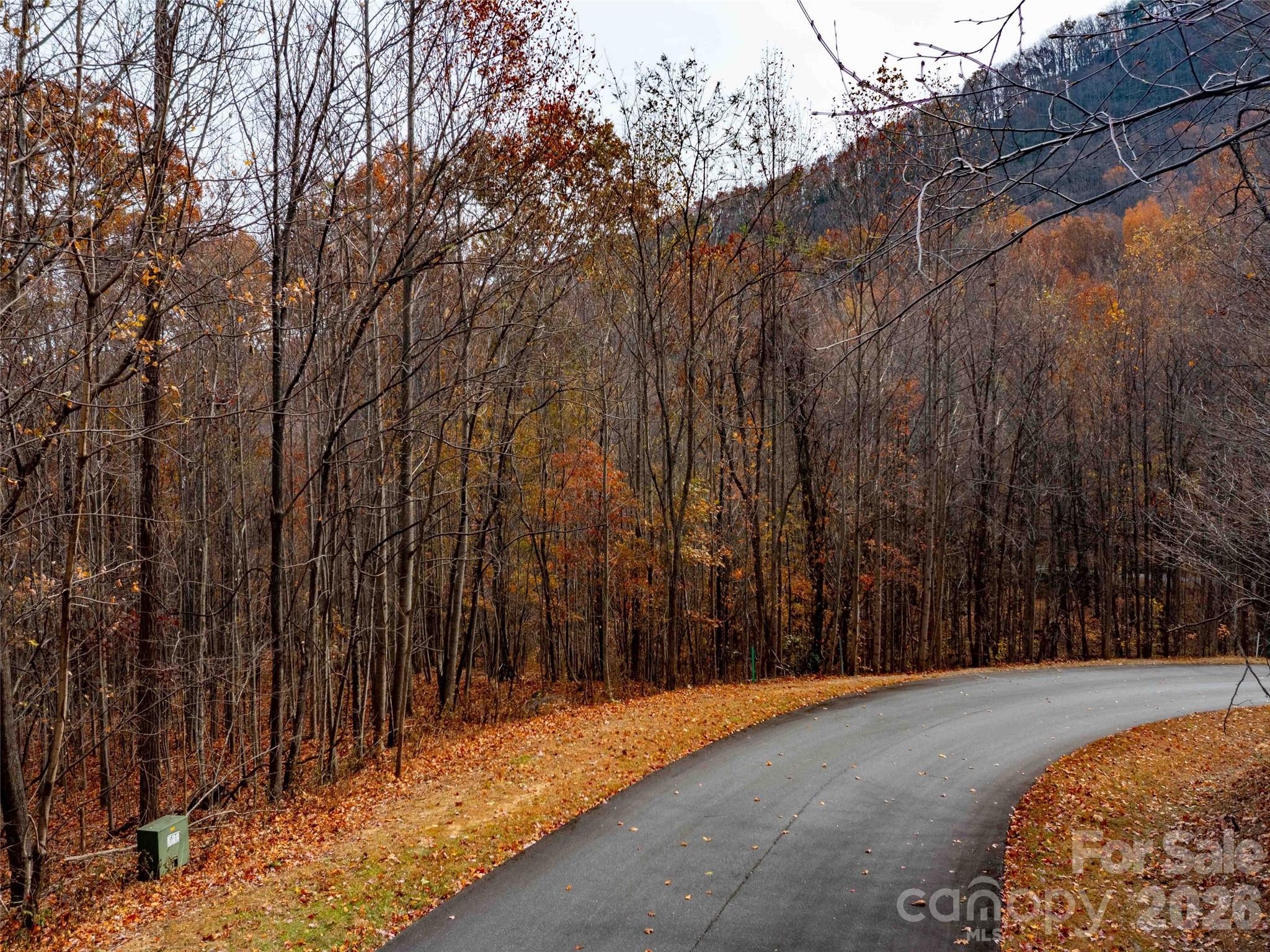 Lot 2110 Harm Creek Loop Mill Spring NC 28756