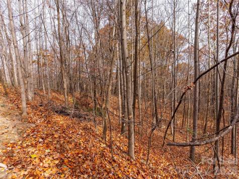 Lot 2110 Harm Creek Loop Mill Spring NC 28756