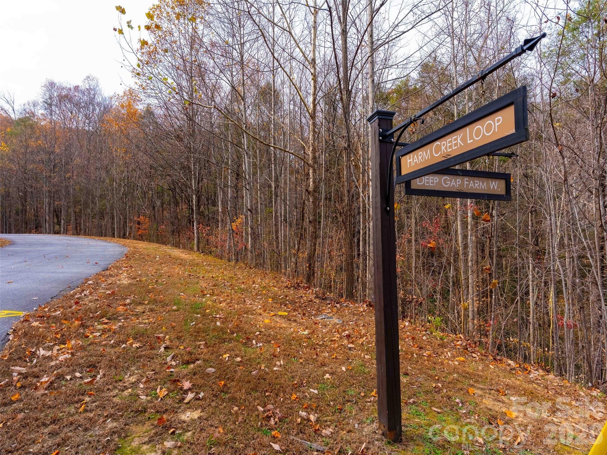 Lot 2110 Harm Creek Loop Mill Spring NC 28756