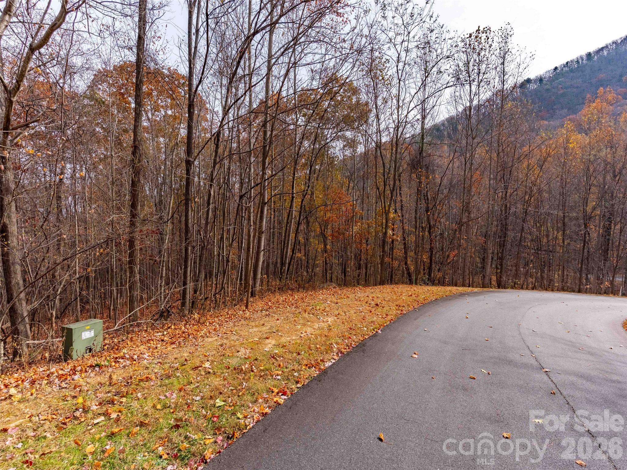 Lot 2110 Harm Creek Loop Mill Spring NC 28756