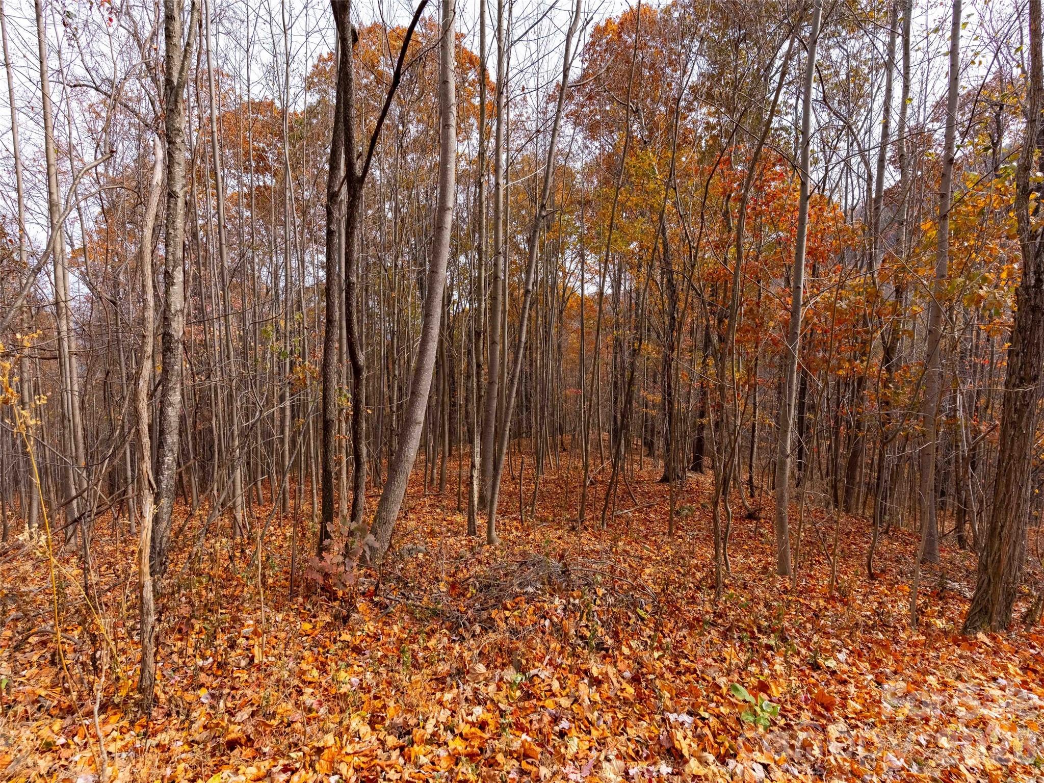 Lot 2110 Harm Creek Loop Mill Spring NC 28756