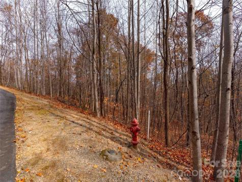 Lot 2110 Harm Creek Loop Mill Spring NC 28756