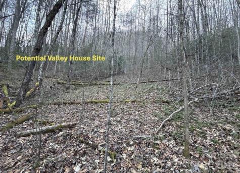 70 Earls Road Bryson City NC 28713