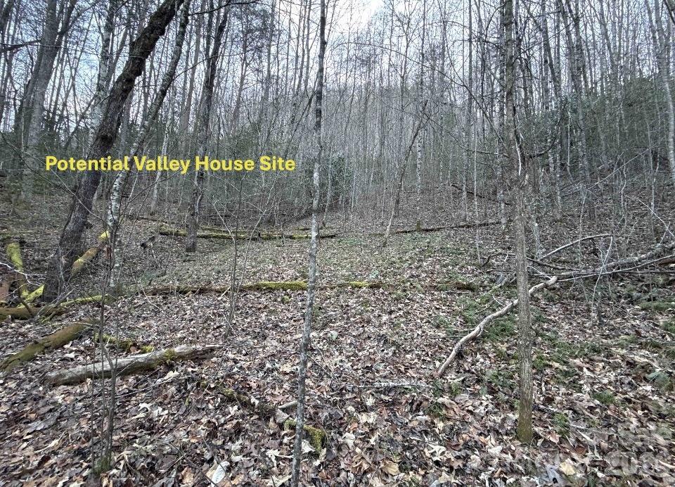 70 Earls Road Bryson City NC 28713