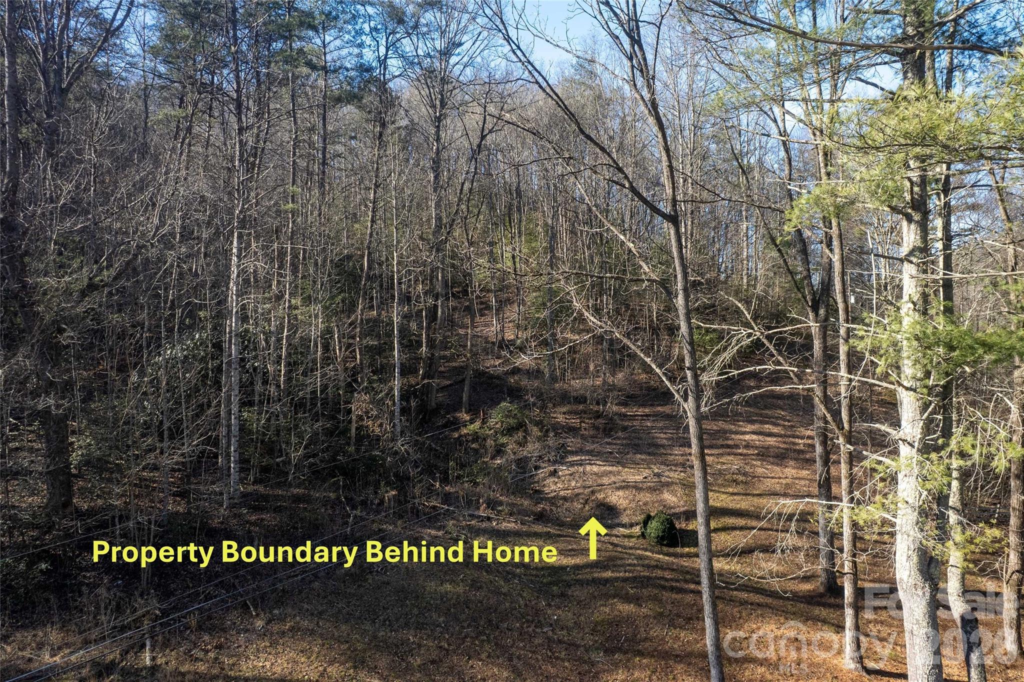 70 Earls Road Bryson City NC 28713