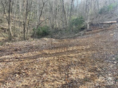 4 Copperhead Cove Sylva NC 28779