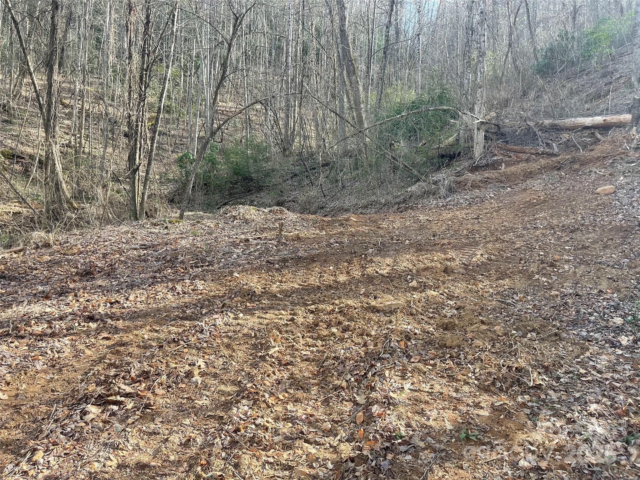 4 Copperhead Cove Sylva NC 28779