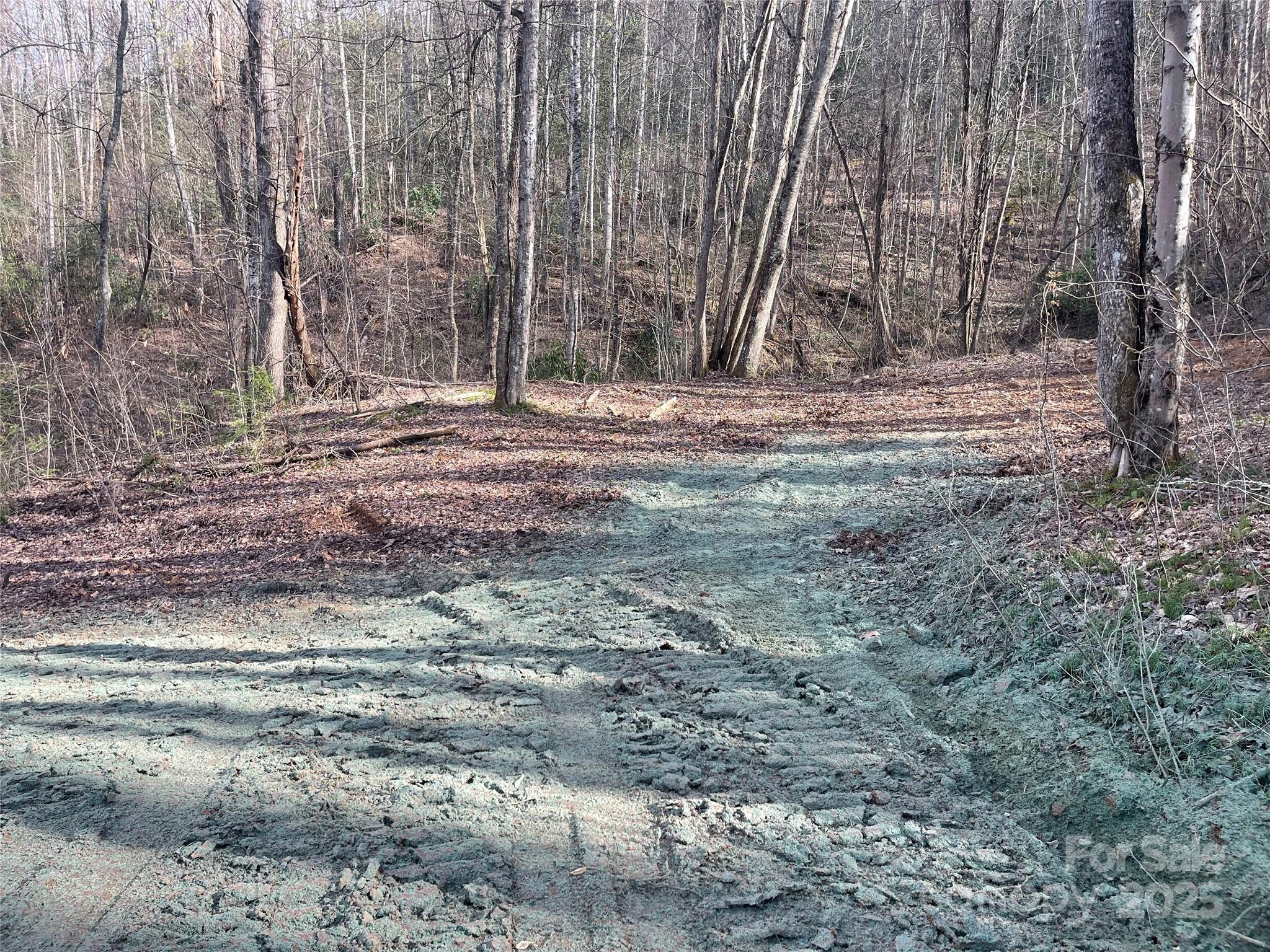 4 Copperhead Cove Sylva NC 28779