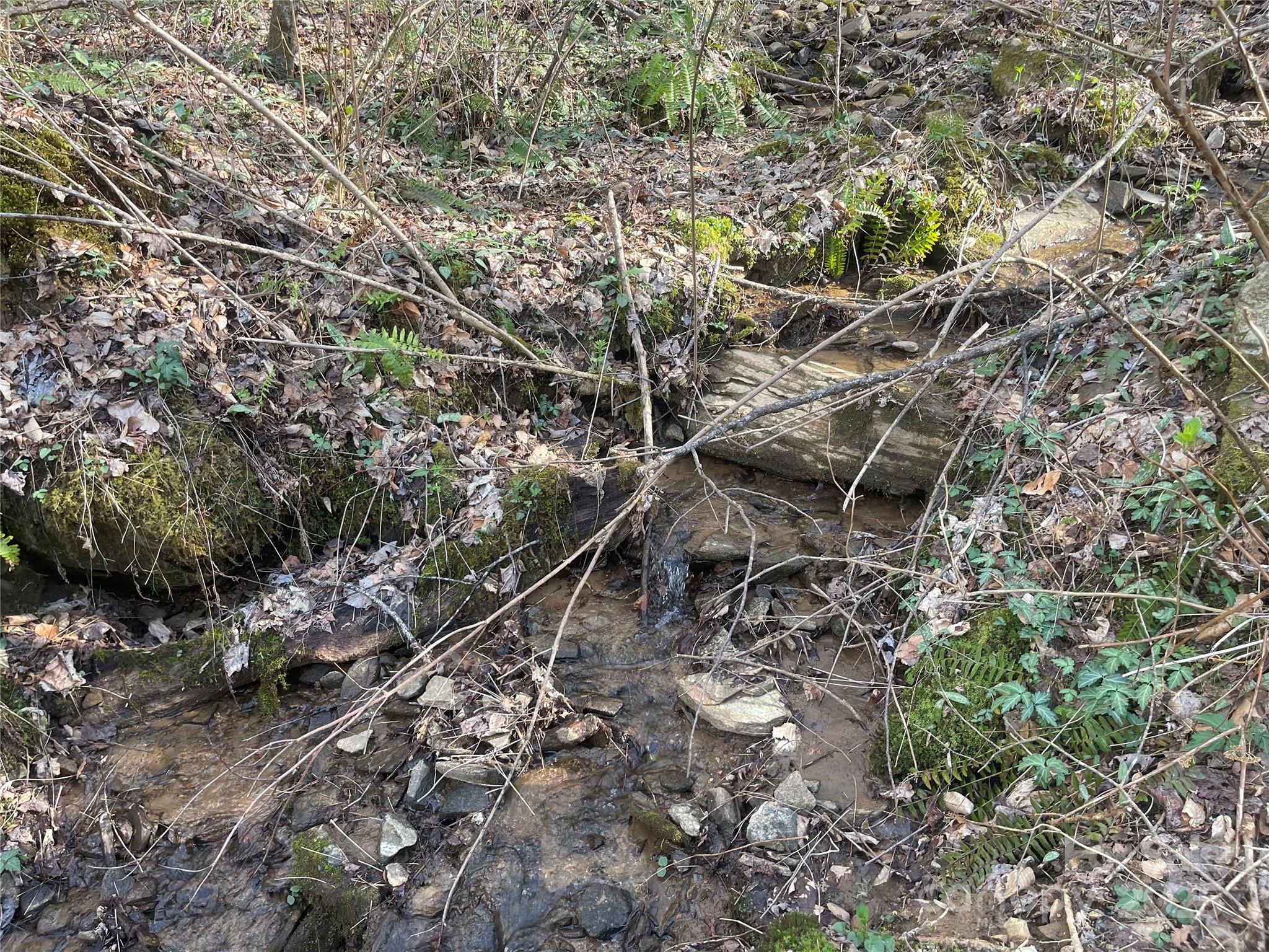 4 Copperhead Cove Sylva NC 28779