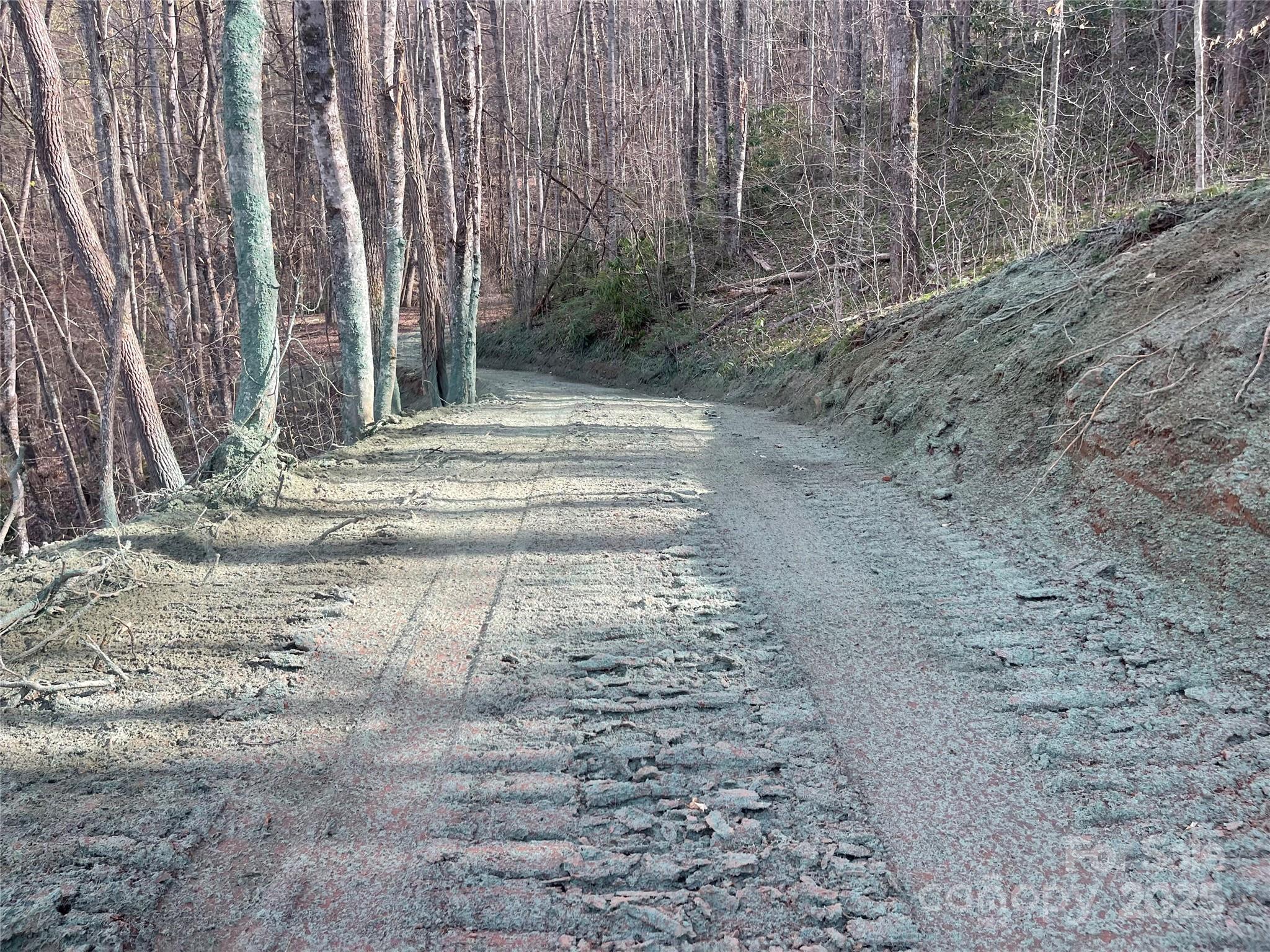 4 Copperhead Cove Sylva NC 28779