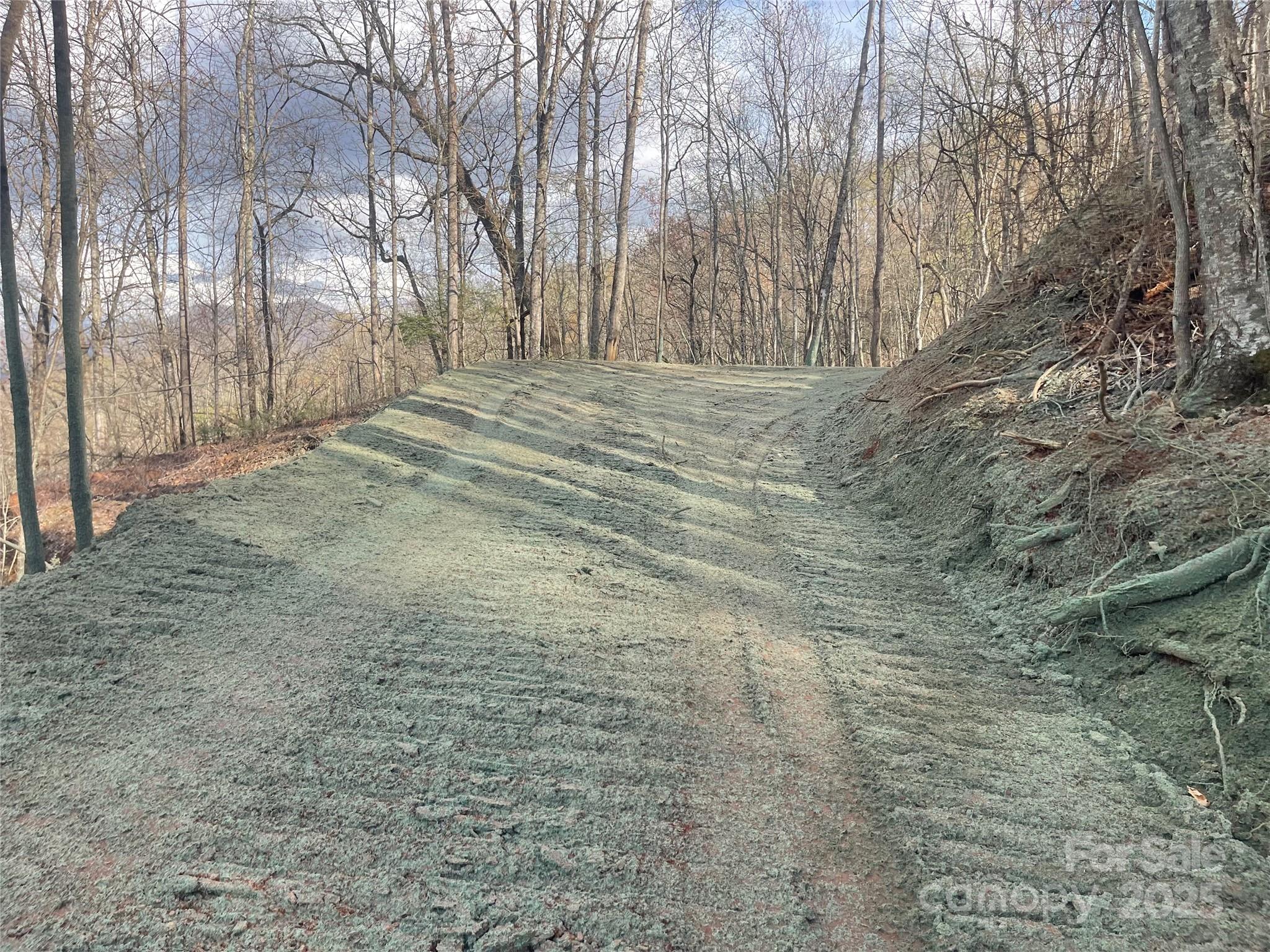 4 Copperhead Cove Sylva NC 28779