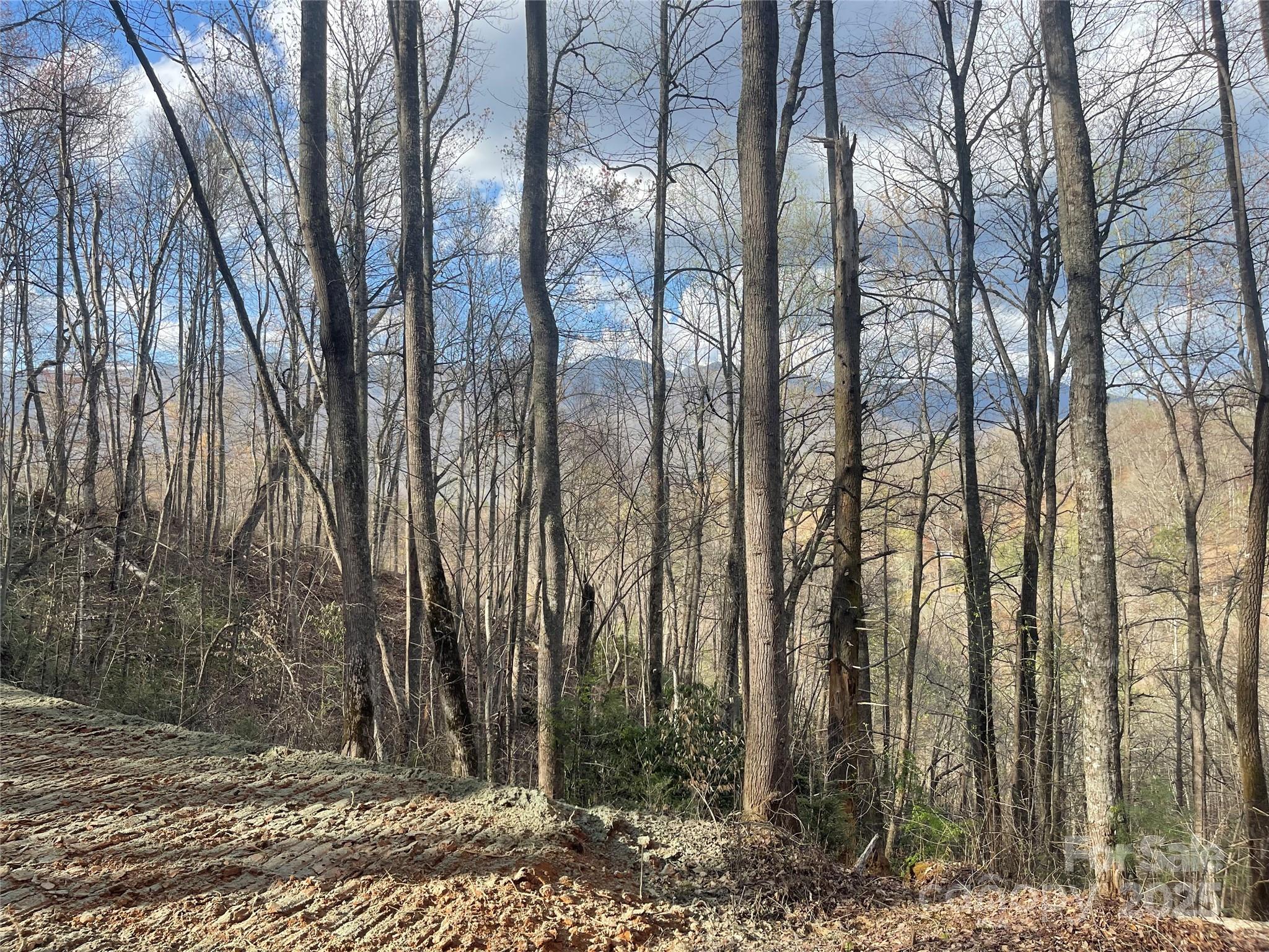 4 Copperhead Cove Sylva NC 28779