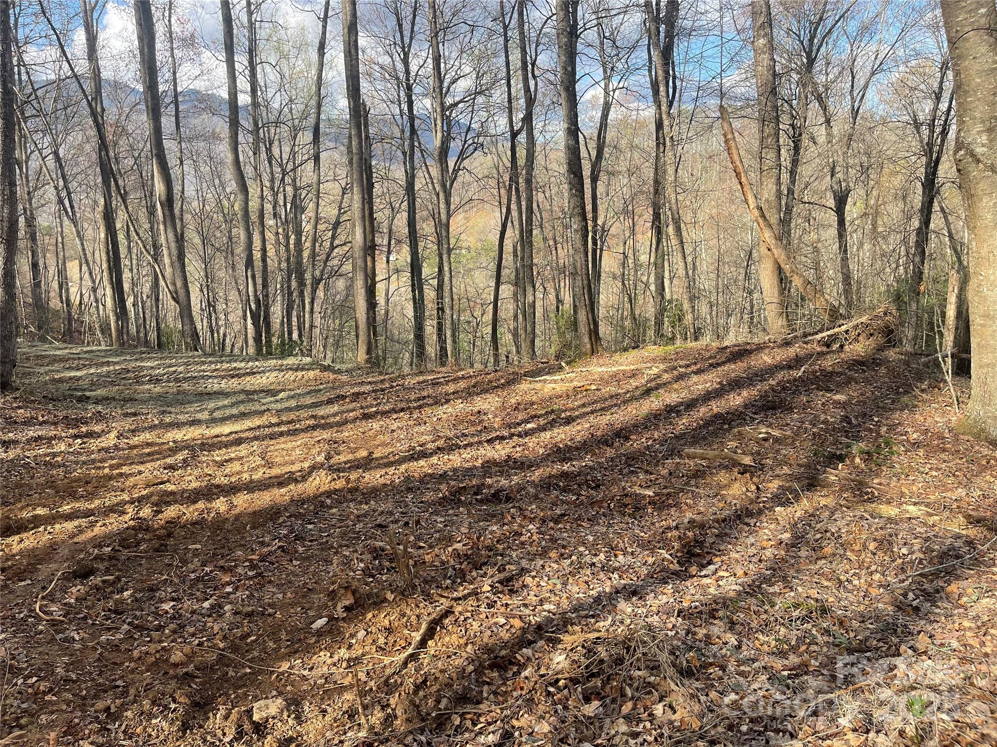 4 Copperhead Cove Sylva NC 28779