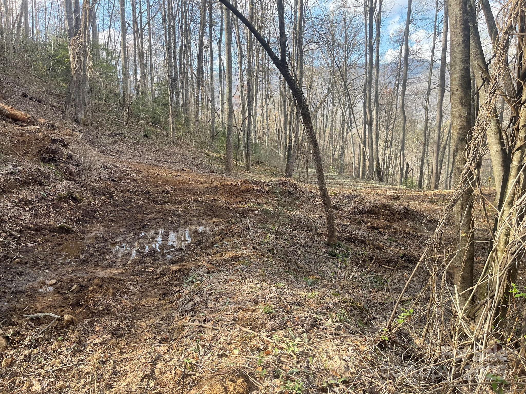 4 Copperhead Cove Sylva NC 28779